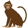 Kennisplatform API's